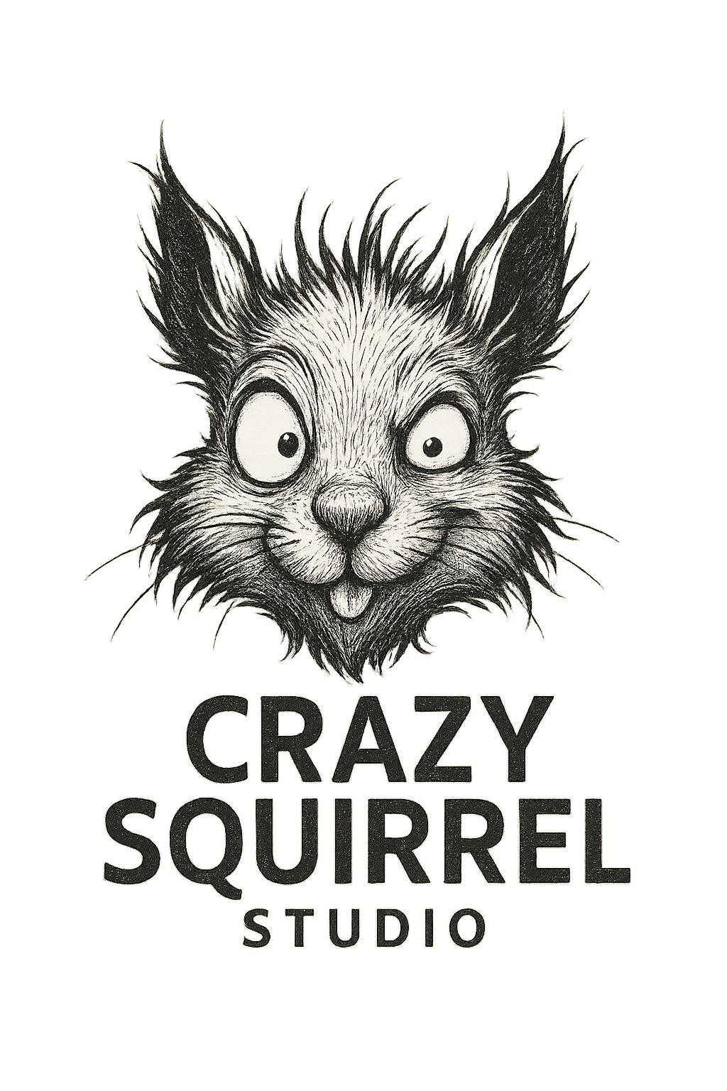 Crazy Squirrel Studio